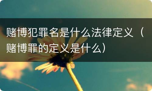赌博犯罪名是什么法律定义（赌博罪的定义是什么）
