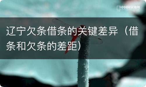 辽宁欠条借条的关键差异（借条和欠条的差距）