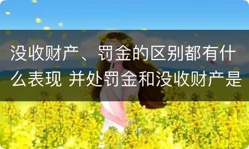 没收财产、罚金的区别都有什么表现 并处罚金和没收财产是什么意思