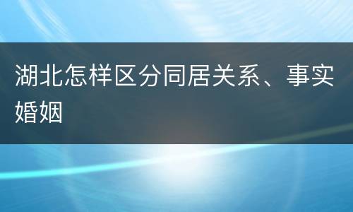 湖北怎样区分同居关系、事实婚姻