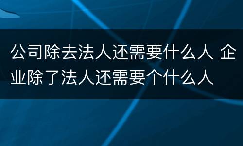 公司除去法人还需要什么人 企业除了法人还需要个什么人