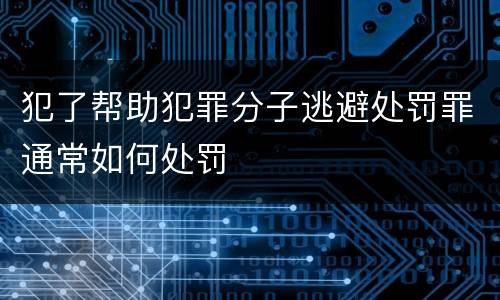 犯了帮助犯罪分子逃避处罚罪通常如何处罚