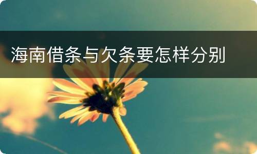 海南借条与欠条要怎样分别