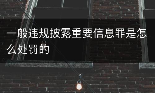 一般违规披露重要信息罪是怎么处罚的