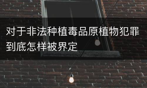 对于非法种植毒品原植物犯罪到底怎样被界定