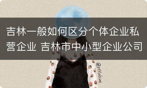 吉林一般如何区分个体企业私营企业 吉林市中小型企业公司有哪些