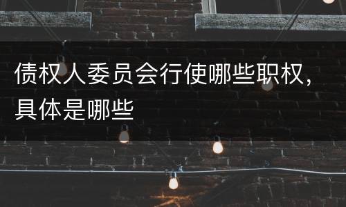 债权人委员会行使哪些职权，具体是哪些