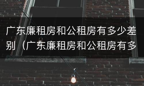 广东廉租房和公租房有多少差别（广东廉租房和公租房有多少差别呢）