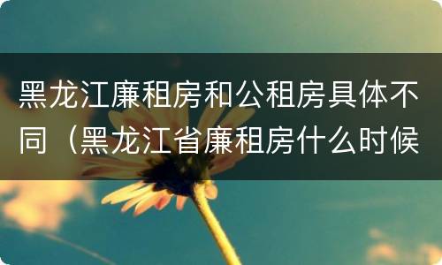 黑龙江廉租房和公租房具体不同（黑龙江省廉租房什么时候卖给个人）