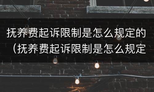 抚养费起诉限制是怎么规定的（抚养费起诉限制是怎么规定的呢）