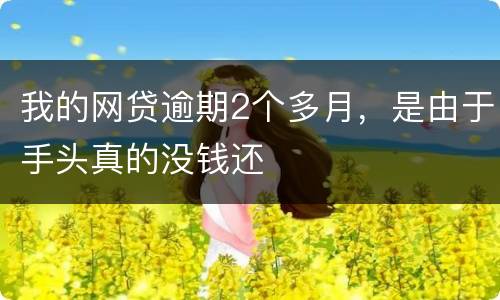 我的网贷逾期2个多月，是由于手头真的没钱还