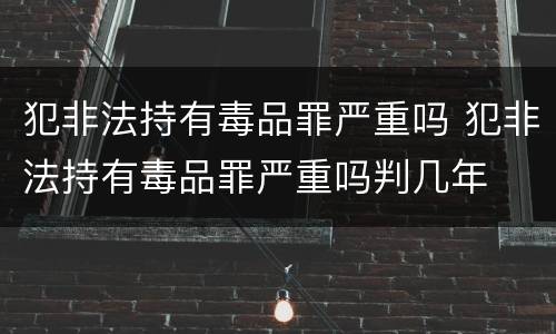 犯非法持有毒品罪严重吗 犯非法持有毒品罪严重吗判几年