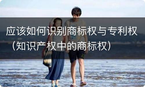 应该如何识别商标权与专利权（知识产权中的商标权）