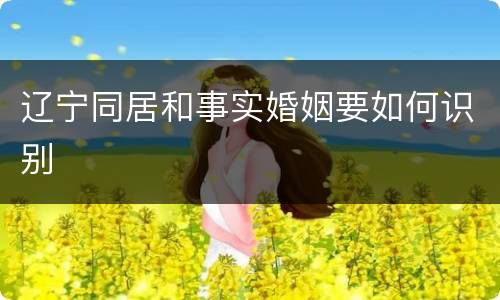辽宁同居和事实婚姻要如何识别