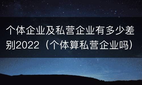 个体企业及私营企业有多少差别2022（个体算私营企业吗）