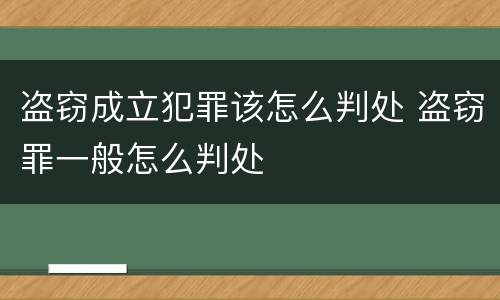 盗窃成立犯罪该怎么判处 盗窃罪一般怎么判处