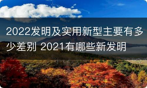 2022发明及实用新型主要有多少差别 2021有哪些新发明