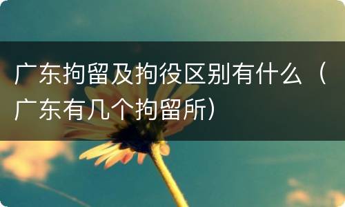 广东拘留及拘役区别有什么（广东有几个拘留所）