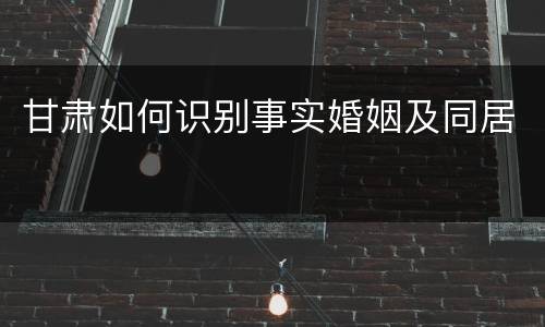 甘肃如何识别事实婚姻及同居