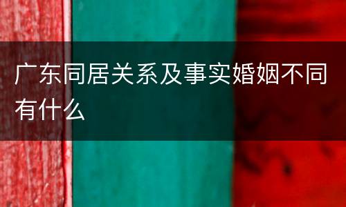 广东同居关系及事实婚姻不同有什么