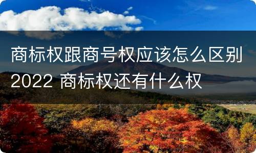 商标权跟商号权应该怎么区别2022 商标权还有什么权