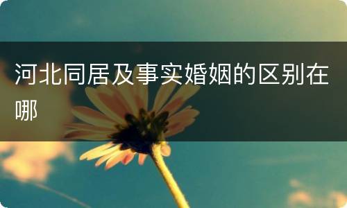 河北同居及事实婚姻的区别在哪
