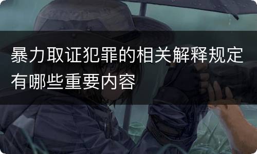 暴力取证犯罪的相关解释规定有哪些重要内容