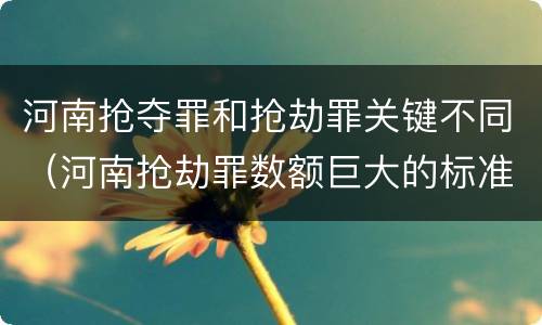 河南抢夺罪和抢劫罪关键不同（河南抢劫罪数额巨大的标准）