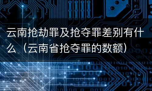 云南抢劫罪及抢夺罪差别有什么（云南省抢夺罪的数额）