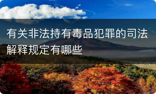 有关非法持有毒品犯罪的司法解释规定有哪些