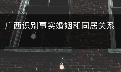 广西识别事实婚姻和同居关系