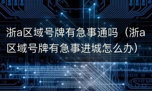 浙a区域号牌有急事通吗（浙a区域号牌有急事进城怎么办）