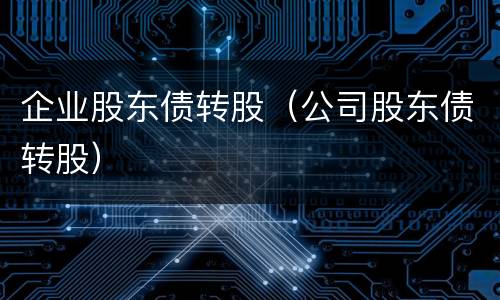 企业股东债转股（公司股东债转股）