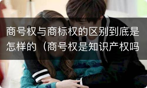 商号权与商标权的区别到底是怎样的（商号权是知识产权吗）