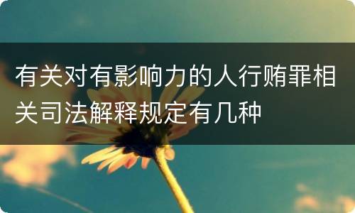 有关对有影响力的人行贿罪相关司法解释规定有几种