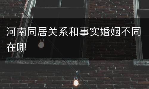 河南同居关系和事实婚姻不同在哪