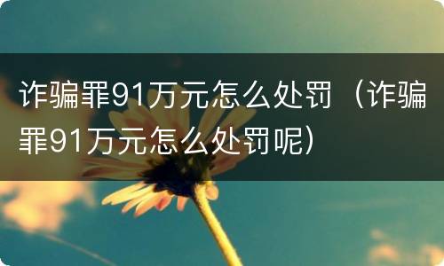 诈骗罪91万元怎么处罚（诈骗罪91万元怎么处罚呢）