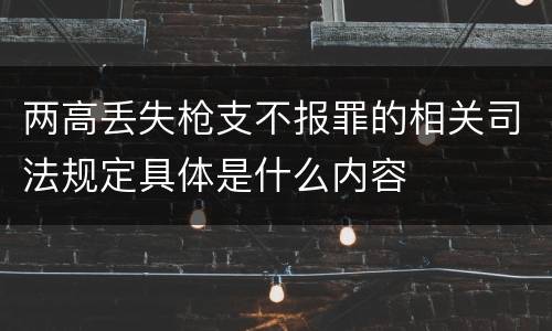 两高丢失枪支不报罪的相关司法规定具体是什么内容