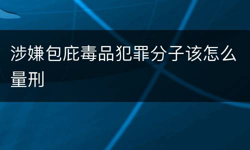 涉嫌包庇毒品犯罪分子该怎么量刑