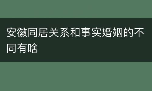 安徽同居关系和事实婚姻的不同有啥