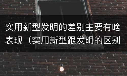 实用新型发明的差别主要有啥表现（实用新型跟发明的区别）