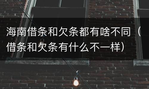 海南借条和欠条都有啥不同（借条和欠条有什么不一样）