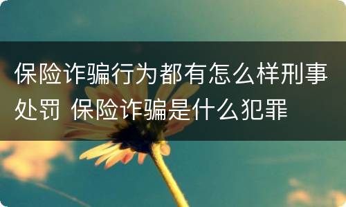 保险诈骗行为都有怎么样刑事处罚 保险诈骗是什么犯罪