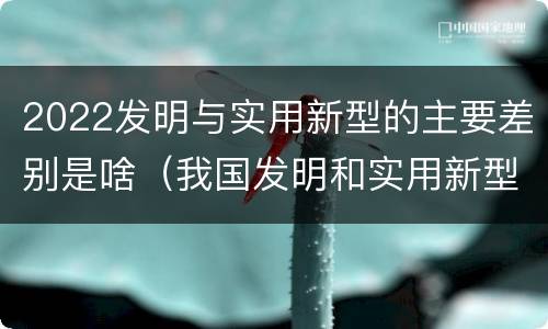 2022发明与实用新型的主要差别是啥（我国发明和实用新型的标准）