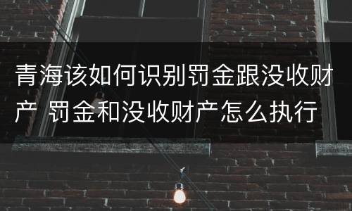 青海该如何识别罚金跟没收财产 罚金和没收财产怎么执行