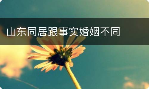 山东同居跟事实婚姻不同