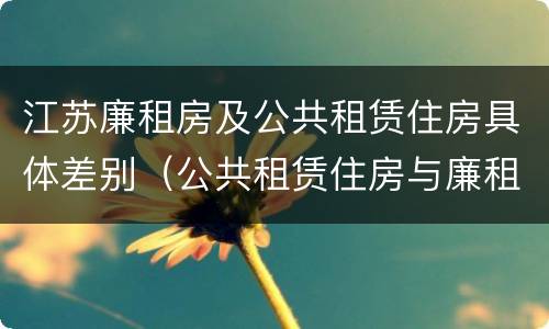 江苏廉租房及公共租赁住房具体差别（公共租赁住房与廉租房的区别）