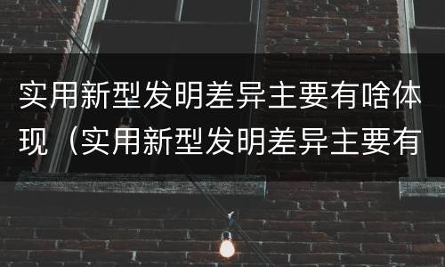 实用新型发明差异主要有啥体现（实用新型发明差异主要有啥体现）