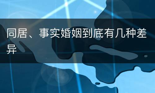 同居、事实婚姻到底有几种差异