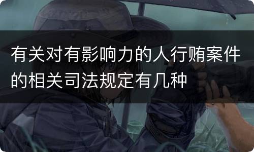 有关对有影响力的人行贿案件的相关司法规定有几种